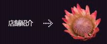 Ź�޾���