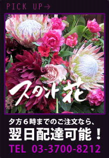 ��Ź�ˤ���������ɲ֡��ͥ��ƥ��֥ե�������
